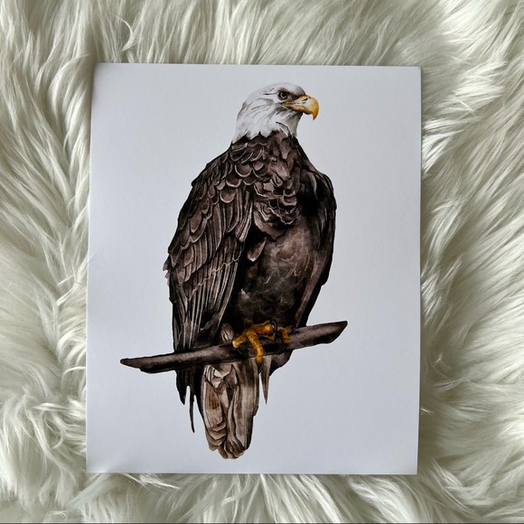 Watercolor Wall Art Print Eagle Portrait Unframed - Picture 8 of 13